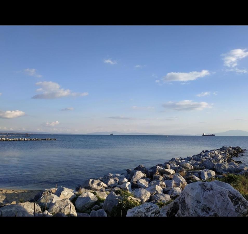 Alkistis House Villa Volos Buitenkant foto