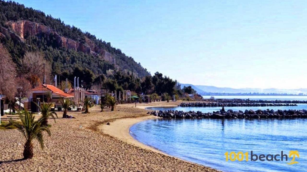 Alkistis House Villa Volos Buitenkant foto